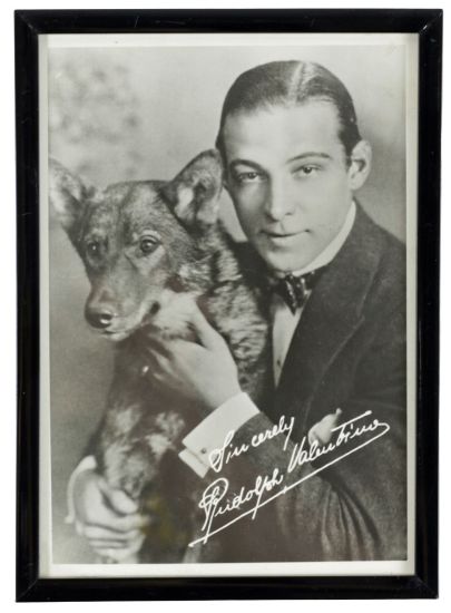 Picture of 1951 Photograph of Rudolph Valentino with his Dog