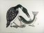 Picture of The Loon and the Fish