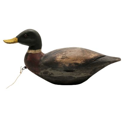 Picture of Antique Great Lakes Region - Carved Mallard Drake Duck Decoy